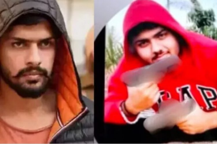 Noni Rana पकड़ा गया एक और मोस्ट वांटेड गैंगस्टर नोनी राणा, अमेरिका में हुआ ...